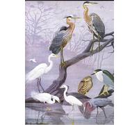 RZHRHJES Dipinto Astratto Decorativo Tela Immagini Stampe Immagine Illustrazione dalla storia naturale degli uccelli est di Louis Agassiz Fuertes per Decorazioni per la Casa 60x90cm