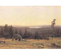 RZHRHJES Dipinto Astratto Decorativo Tela Immagini Stampe Immagine Ivan Shishkin di Orizzonti della foresta per Decorazioni per la Casa 60x90cm