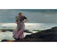 RZHRHJES Dipinto Astratto Decorativo Tela Immagini Stampe Immagine Una luce sul mare di Winslow Homer per Decorazioni per la Casa 60x90cm