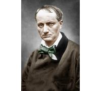 RZHRHJES Mural Dipinto Poster su Tela Quadri su Tela Charles Baudelaire di Étienne Carjat per Decorazioni per la Casa 60x90cm