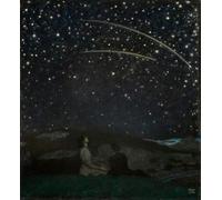 RZHRHJES Mural Dipinto Poster su Tela Quadri su Tela Stelle Cadenti Di von Stuck per Decorazioni per la Casa 60x90cm