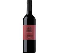 S. Maddalena Classico 2022 - Cantina Obermoser
