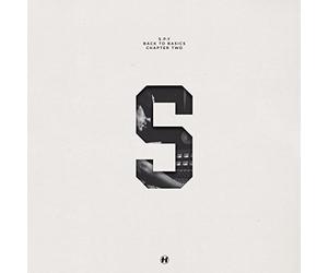 S.P.Y. - Back To Basics Chapter Two