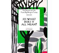 S. S. O'Connor So What Does It All Mean? (Tascabile)