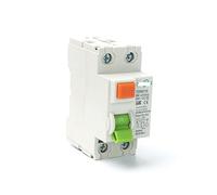 S Tipo RCCB Ritardato RCD ELCB Tipo di ritardo Interruttore differenziale Interruttore automatico elettromagnetico (Size : 2 Pole 100 mA, Color : 40A)