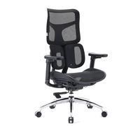 S100-M301 | Sihoo - Sedia da ufficio professionale Nero