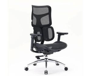 S100-M301 | Sihoo - Sedia da ufficio professionale Nero