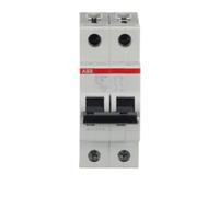 Interruttore magnetotermico ABB 2P 16A 10KA C 2M S202M S550307