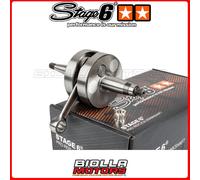 S6-8119300 ALBERO MOTORE STAGE6 PRO REPLICA DERBI SENDA DRD RACING 50 SM DOPO 20