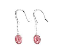 S925 Oval Ice Flower Ear Hook Female Small Fresh Student Earrings Korea