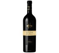 SA£‰Ptima S Ptima Malbec Gran Riserva 2020 per uso professionale per migliorare le prestazioni in ogni utilizzo con dettagli tecnici 2020