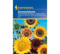Saatgut Sonnenblumen Riesenblumige Mischung