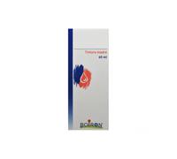Sabal Serrulata 60 ml Tintura Madre