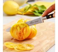 Sabatier Lion 712980 - Sandwich Coltello per pomodori forgiato, 12 cm