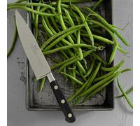 Sabatier Lion Idéal Coltello Trinciante Completamente Forgiato da 15 cm con Rivetti in Ottone, Fabbricato in Francia
