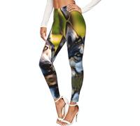 SABFWF Husky Dog Pattern Print Leggings da donna per allenamento, morbidi leggings a compressione per le donne, Nero , XL