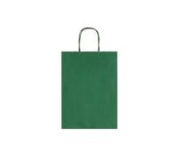 Sacchetti da regalo Rex-Sadoch Allegra tinta unita Dark 26x12x36 cm verde conf.