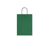 Sacchetti da regalo Rex-Sadoch Allegra tinta unita Dark 36x12x41 cm verde conf.