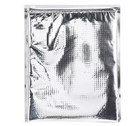 Sacchetti di sandwich isolati da 5Pcs Pacchetti di alluminio impermeabili per il picnic della scuola di corsa ( dimensione : 25*30cm )