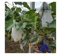 Sacchetti protettivi per frutta e verdura, 50 pezzi/lotto sacchetti for ortaggi da giardino, sacchetti in rete anti-uccelli for il controllo dei parassiti agricoli, sacchetti for la protezione di uva,