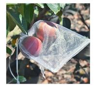 Sacchetto di protezione frutta， 20 pezzi di sacchetti in rete for ortaggi e 10x15 cm, 20x30, for fragole, uva frutteti(10x15cm)