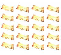 Sacchetto Di Ricambio Per Aspirapolvere X 20 Per LIDL PARKSIDE PNTS 30/5