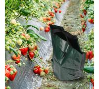Sacchetto multitasche per piantare fragole per un facile giardinaggio e risparmi