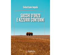 Sacchi d'oro e azzurri contorni