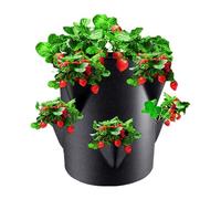 Sacchis per Piantare Fragole, 10 Galloni con 8 Tasche per Orto Verticale da Esterno, Vasi per Fragole Fragole Rampicanti Piante, Per la Coltivazione di Fragole da Giardino Borsa per Piante da Esterno