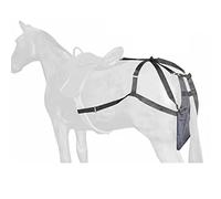 Sacco per Letame di Cavallo Borsa per Cacca di Letame di Cavallo Equino Pony, Sacchi per Letame Equino Impermeabili di Facile Pulizia, per Roulotte, Area Panoramica della Città, Spettacolo Equestre