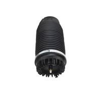 Sacco Sospensioni Pneumatiche Compatibile Con Dodge Per Ram 1500 2013 2014 2015 2016 2017 2018 2019 Molle Di Sospensione Pneumatica Posteriori 4877136AA 04877136AB(Rear Left)
