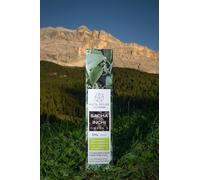 SACHA INCHI Olio da 250ml | Olio Alimentare 100% Plukenetia Volubilis | Ricco di Omega 3, 6 e 9 | Superfood | Alta Selva