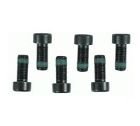 Set di viti, volano SACHS 1874 000 003