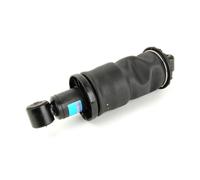 Ammortizzatore, montaggio cabina SACHS 313 183