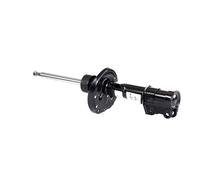 Ammortizzatore SACHS 315 123 sinistro