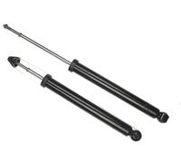 SACHS 316 594 Ammortizzatore per Chevrolet Beat (M300) 2009 - Assale Posteriore