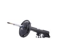 Ammortizzatore SACHS 300 138