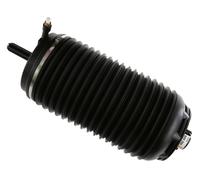 SACHS 992 806 Molla pneumatica