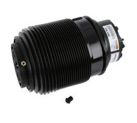 Sachs 994 903 Sospensione Pneumatica Posteriore Sinistra per Mercedes-Benz C218