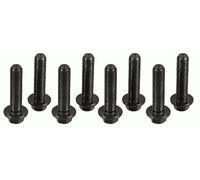SACHS Kit bulloni, Volano 1874000042