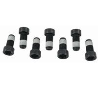 SACHS Kit bulloni, Volano 1874000043