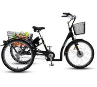 SachsenRAD Cargo Bicicletta Elettrica T3A Trio con allarme, E-Bike da 250W con display LCD e luci LED approvate StVZO per il trasporto bambini, batteria LG durevole,nero