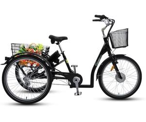 SachsenRAD Cargo Bicicletta Elettrica T3A Trio con allarme, E-Bike da 250W con display LCD e luci LED approvate StVZO per il trasporto bambini, batteria LG durevole,nero