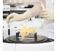 sacro umano artificiale in PVC anatomico 1Pc per uso medico