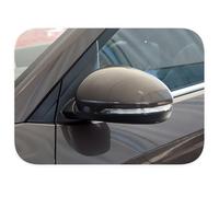 SADHADAH Rear Tail Light Lamp 1PCS Per Hyundai Per Tucson 2015-2019 Auto Porta Specchio Di Montaggio Retrovisore Bianco Ala Lato Posteriore(10PINS-ALC,Brown-L)