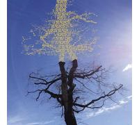 Sadier, Laetitia - Rooting for Love