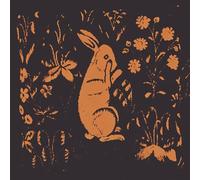 Sadness - ______ (AKA Rabbit)