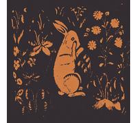 Sadness AKA Rabbit (Vinyl LP) 12" Album