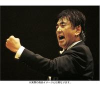 Sado Yutaka - Hyogo Performing Arts Center Opening [Edizione: Giappone]