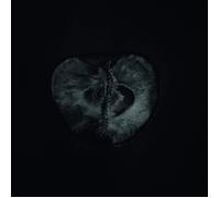 Sádon & Treha Sektori Symphony of Dying (CD) Album